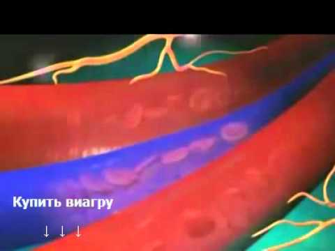 Виагра противопоказания к применению и побочные эффекты